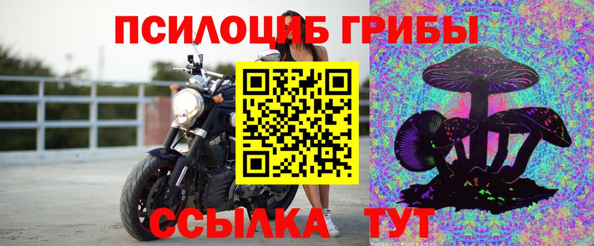 Сыктывкар  Галлюциногенные грибы ЛСД  Вход с VPN 