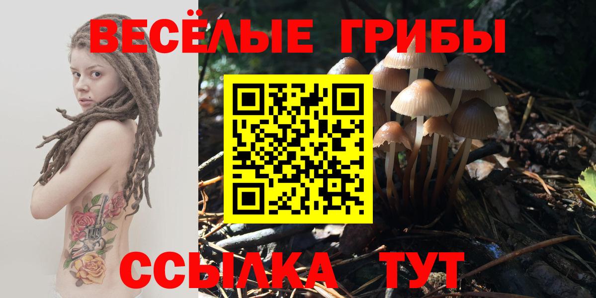 Галлюциногенные грибы прущие грибы Сыктывкар